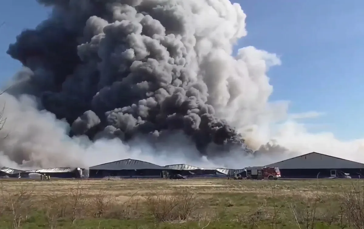 e7e9d4af0a48f72bb4bb0a108e0170524823f8ad Der verheerende Brand in der Grossanlage mit 7000 Sauen und 50'000 Ferkeln in Alt-Tellin. (Bild Screenshot Nordkurier)