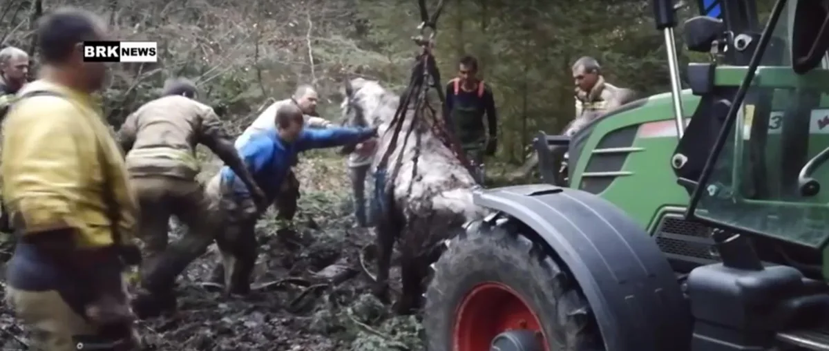 524552acd00fe405b3c2874848b4908b58ac0f02 Mit Fendt und Frontlader gelang es den Rettern, die Stute aus ihrer misslichen Lage zu befreien. (Bild Screenshot BRK-News/Youtube)
