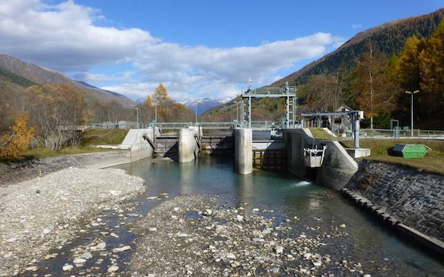 Zwar kann Wasserkraft eine ökologische Stromquelle sein, Kraftwerke können aber auch negative Umweltauswirkungen z. B. auf Fische haben. (Bild WWF)