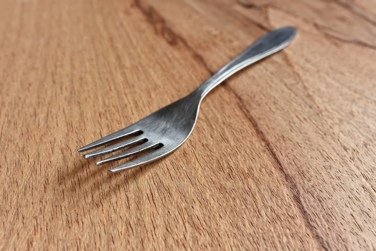 Weniger Fleisch essen, weniger Lebensmittel wegwerfen und nur Importe aus nachhaltiger Produktion – das gehöre auf dem Weg zur nachhaltigen Schweiz zwingend dazu. Ausserdem sei man auch teilweise verfassungsrechtlich dazu verpflichtet. (Bild Piaxbay)