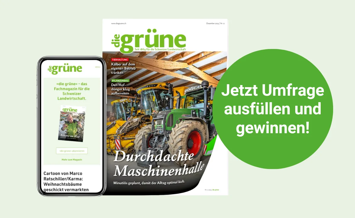 Leserumfrage_die_gru__ne Jetzt Leserumfrage ausfüllen und gewinnen!