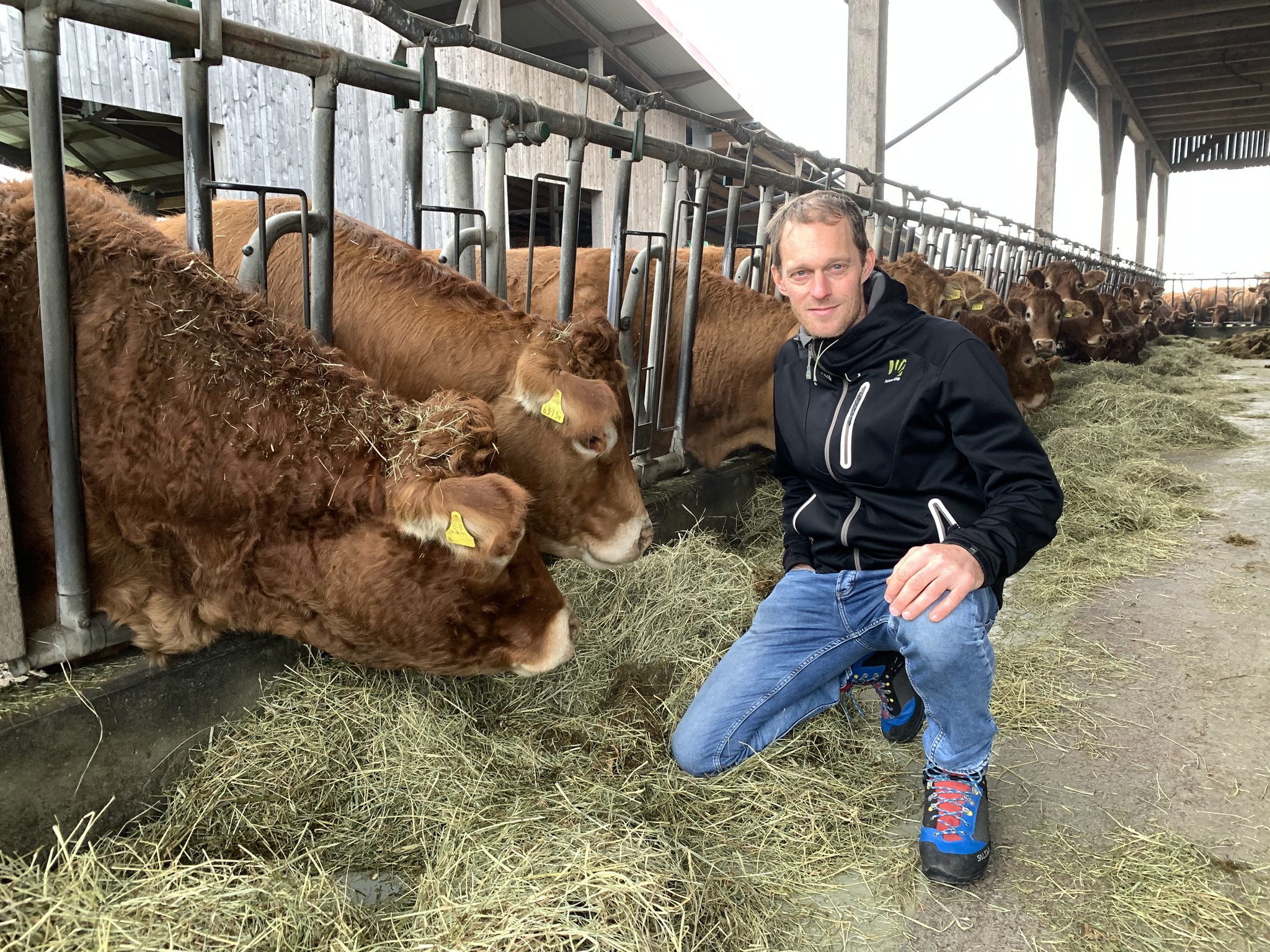 Pirmin Adler aus Oberrüti mit den Limousin-Mutterkühen. Den Tieren füttert er Zeolith, dieses Natursilikat bindet Ammonium schon in der Kuh.  Zudem arbeitet er mit Pflanzenkohle.  (Bild js)