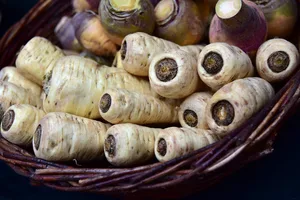 Die Pastinake ist mit ihrem würzigen, aromatischen Geschmack ein richtiger Allrounder.