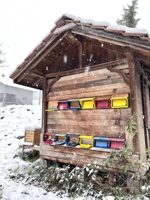 In den Wintermonaten liegt der Fokus auf der Überwachung der Bienenstände und der Vorbereitung auf die nächste Saison.