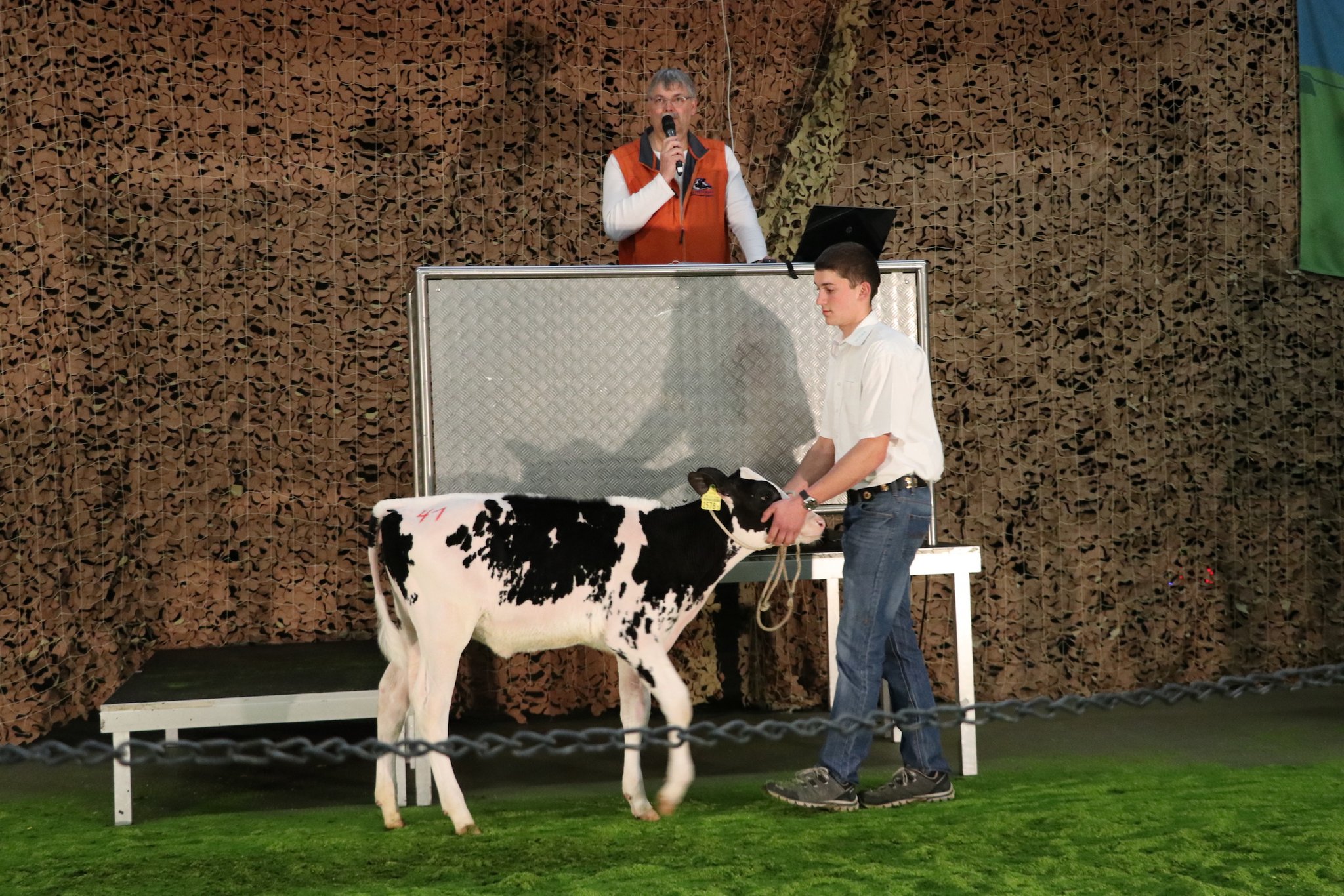 Laulucy von Stefan Käser mit Potenzial in Exterieur, Milch und Gehalt war dem neuen Besitzer 4900 Franken wert. (Bilder Ruth Aerni)
