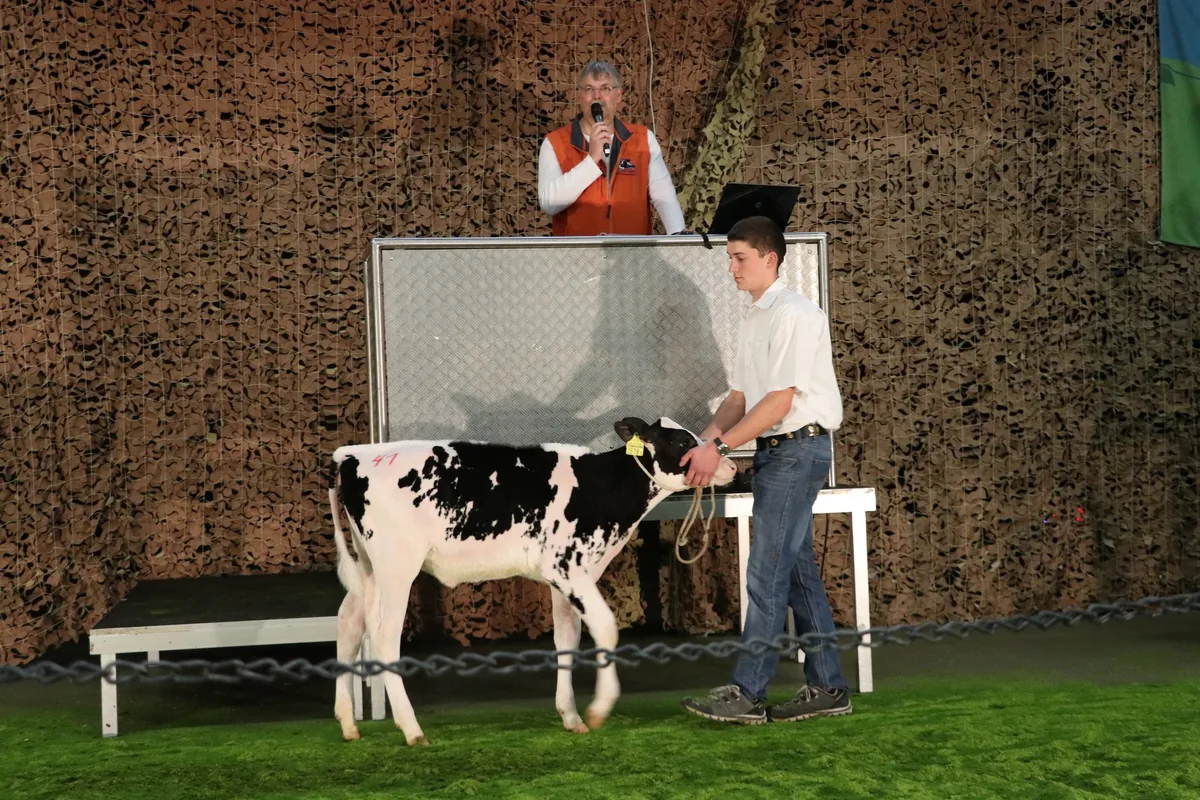 7c83e03821cc9a3cbbf0f393666a967e8da16a14 Laulucy von Stefan Käser mit Potenzial in Exterieur, Milch und Gehalt war dem neuen Besitzer 4900 Franken wert. (Bilder Ruth Aerni)
