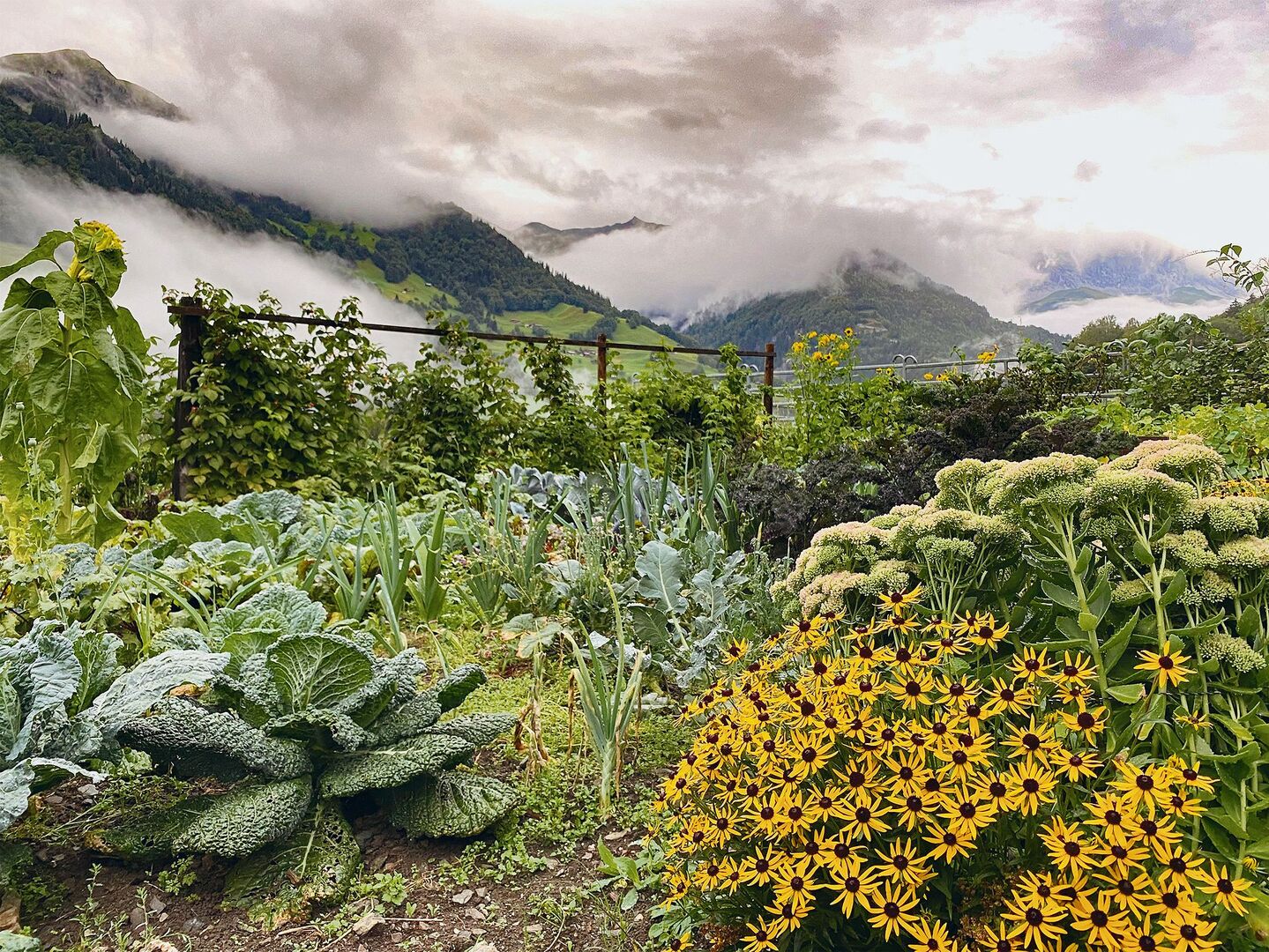 Jahreszeitenwechsel: Wann ist denn eigentlich Herbst?