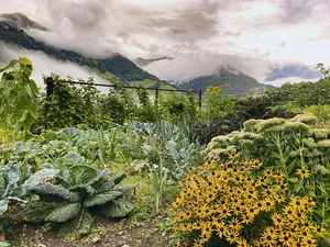Den Übergang vom Spätsommer in den Herbst nehmen wir als schleichend wahr. Zur genauen Bestimmung, ab wann denn nun Herbst ist, gibt es verschiedene Ansätze. Richtet man sich nach dem Kalender? Nach dem Wetter? Oder doch nach der Natur?
