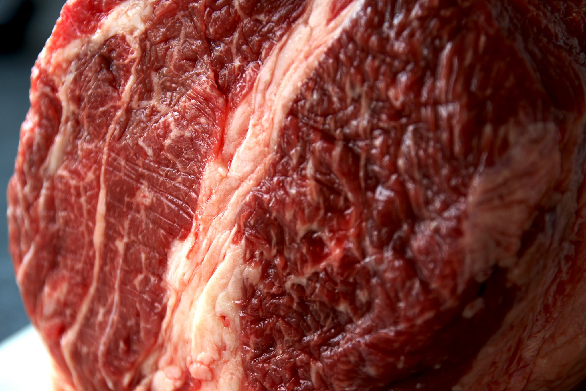 Ein Forschungszentrum für Schweizer Laborfleisch wird gebaut