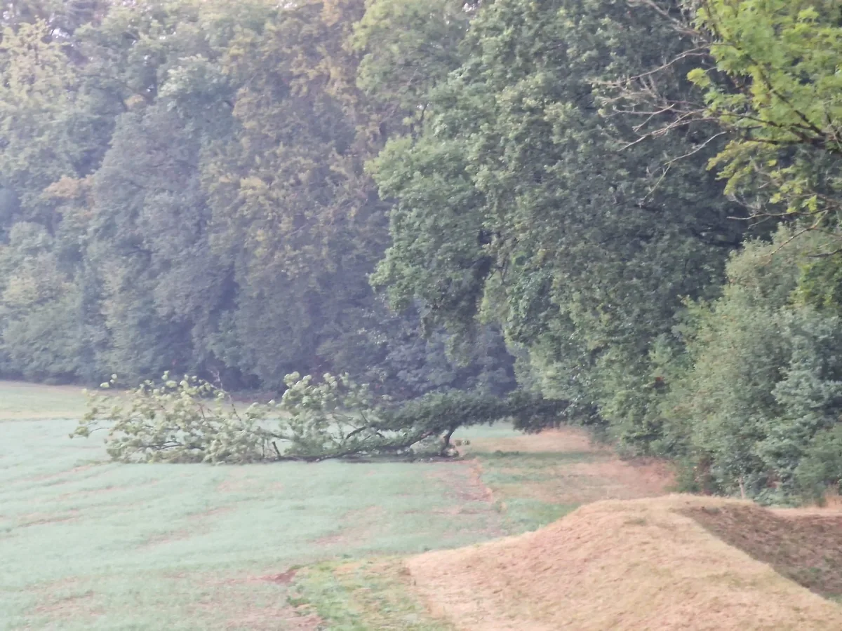 Ersehnter Regen kommt mit Blitz und Donner in der Schweiz