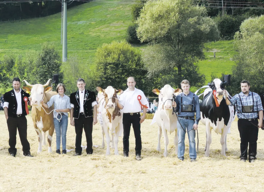 emmentaler-schau Wer schöne Kühe sehen will, geht an die Emmentaler-Verbandsschau