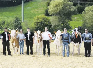 Welche Kühe dürfen sich wohl an der Emmentaler-Verbandsschau 2022 als Missen feiern lassen?