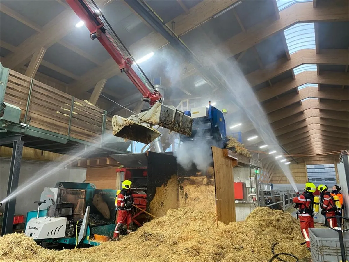Brand in einem Rindviehstall in Maienfeld lief glimpflich ab