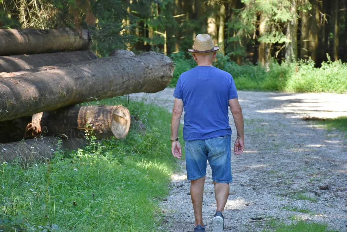 Fast alle Schweizer gehen in den Wald und befürworten Subventionen dafür