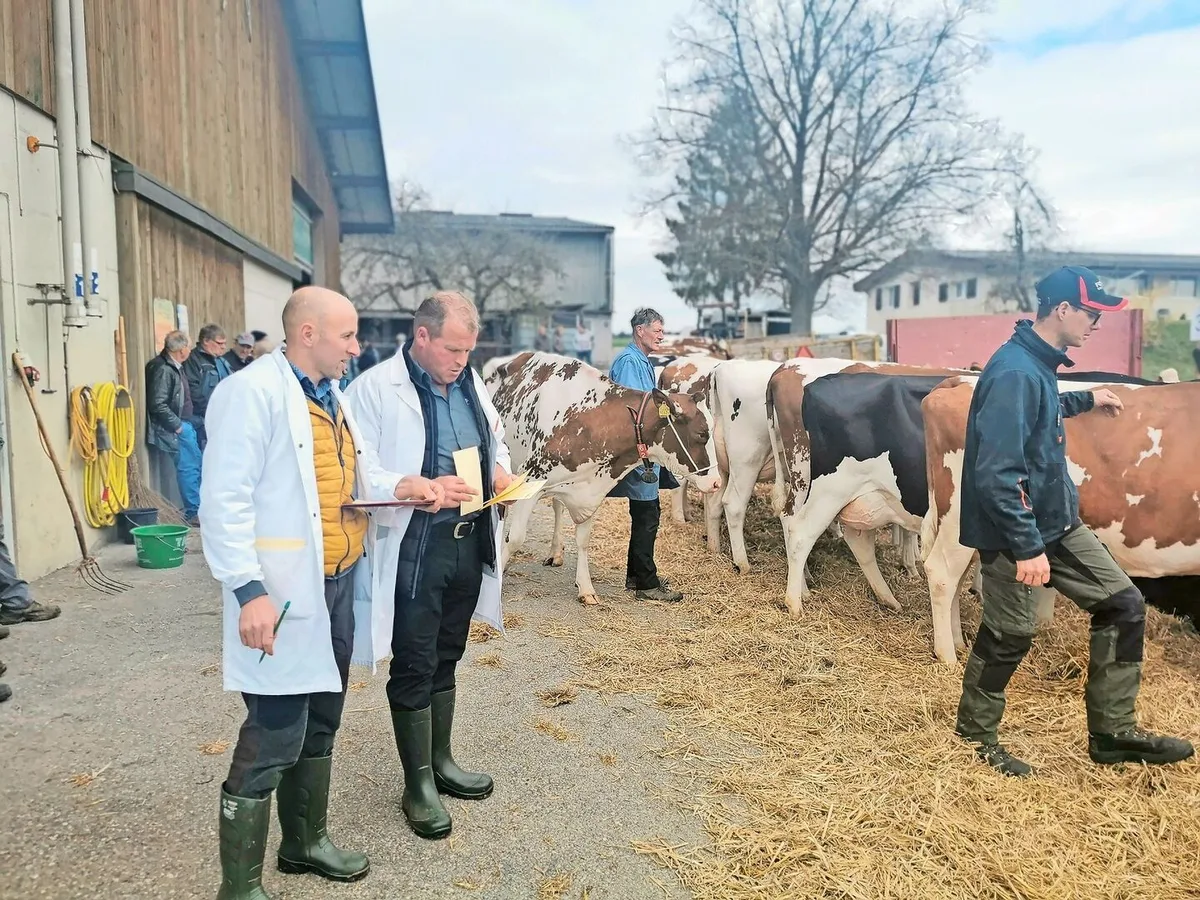 e5f810f486b25f1699c93de12a5870d63376bf0f13cded3297a14e70fb60f7a2 Die Punktierung beim Rind wird seit rund zehn Jahren nur noch aus der Kasse der Absatzförderung unterstützt. Nun wird der «Tierzucht-Geldhahn» für Schauen auch bei allen anderen Tiergattungen zugedreht. Das BLW schlägt drei Wege zur Anpassung vor.