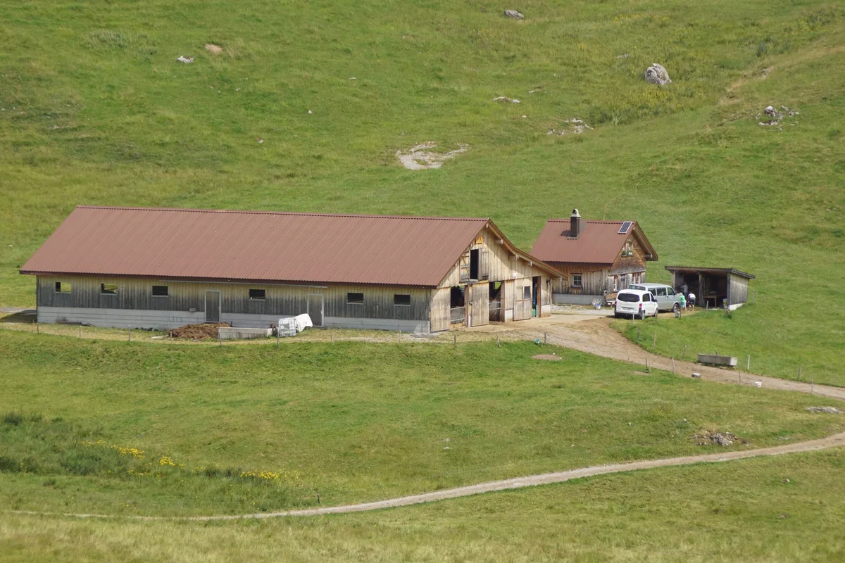 Abb-5_Riethof-im-Hintergraeppelen Ein Laufstall auf der Alp ist eine Seltenheit