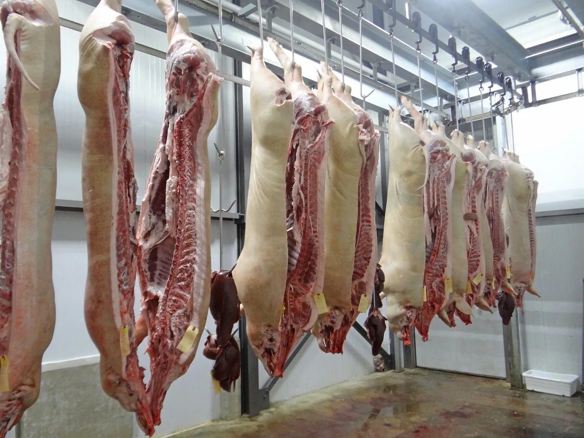 schweinehaelften_joe Die Krise am Schweinemarkt ist noch nicht ausgestanden – neue Massnahmen
