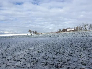 Die Landwirtschaft ist zwar der Wirtschaftszweig mit der grössten Flächennutzung, aber nicht alleine für Umweltprobleme verantwortlich. Trotzdem gibt es für keinen anderen Sektor definierte Umweltziele. (Bild jsc)