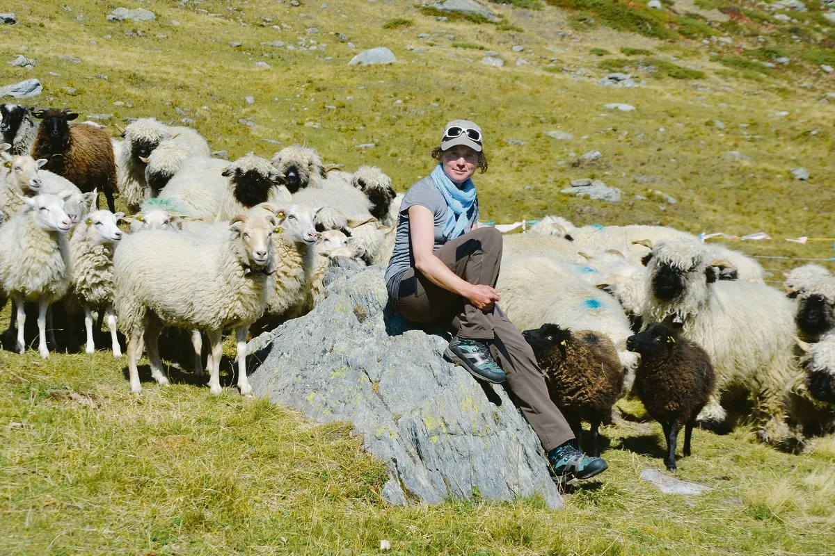 4e94a30b03d32d6e594fc5d0ce21cee3d348be81 Sarah Müri hütet schon den dritten Sommer 220 Schafe im Turtmanntal VS. Wegen der Präsenz des Wolfes muss die Hirtin einen enormen Mehraufwand in Kauf nehmen.(Bild Peter Fankhauser)