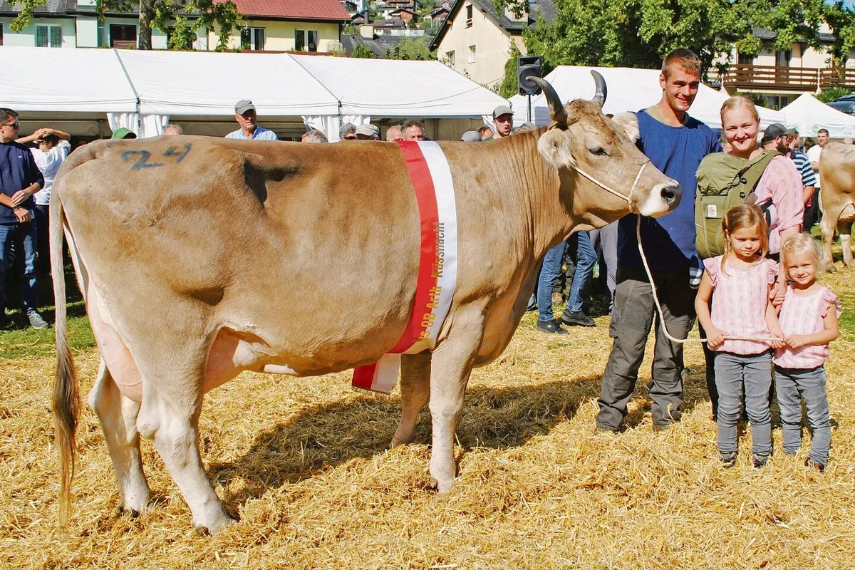 0d9fbffb7318226acd0385f9749af28d2dad7570b6353a45e4bcdf27cea98ef0 Miss Küssnacht OB Harlei Humana von Theo und Fabienne Marty, Goldau, mit den Kindern Alessia, Milena und Elias.