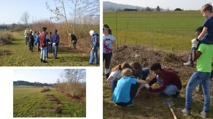 2aaf86c2ad2c58ee4e5833a0f30b8624bf5c3d5c Nach fachkundigen Anweisungen konnten die Schülerinnen und Schüler zu den Schaufeln greifen und so neuen Lebensraum schaffen. (Bilder Heckenprojekt)