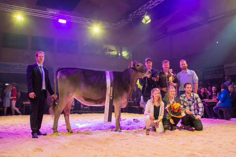 84b8b933e60036cd2326609d055af08de20c052b So schön war es letztes Jahr. Auf dem Bild ist Felder's BS Norwin Noreen, Champion GP 2018 zu sehen. (Bilder zVg)