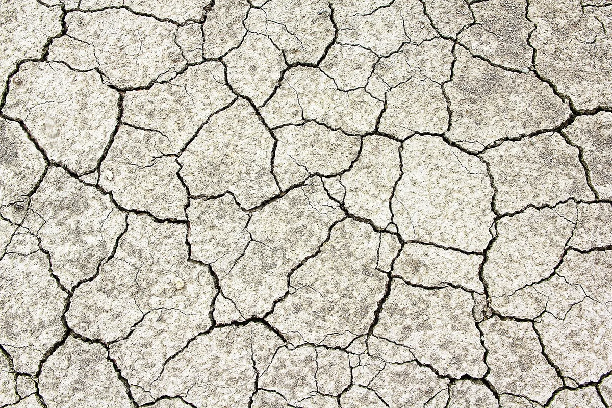c113d3541df62913eede13ed68ff1662c9938ca9 Die Schweiz sei stark vom Klimawandel betroffen, etwa durch Trockenperioden. (Bild Pixabay)
