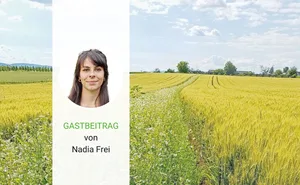 An der Ackerbautagung geht es unter anderem um Blühstreifen.