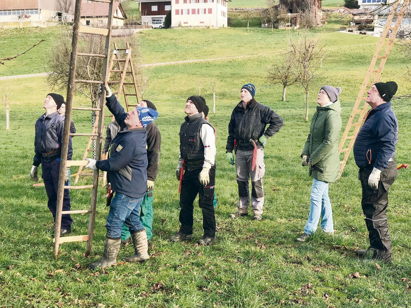 Das Baumschneiden ist lernbar. In Gruppen lässt sich die Wirksamkeit verbessern und die Arbeit macht mehr Spass.