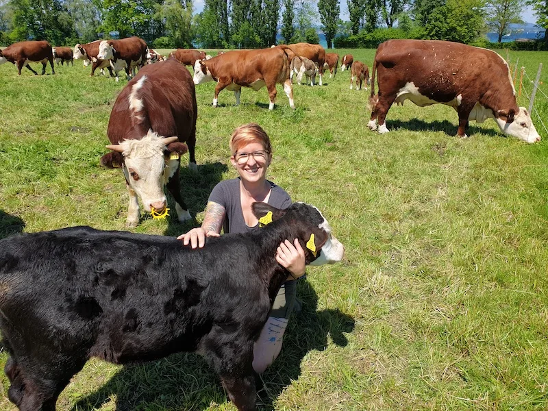 d72eed3c5bb709afcce322d903d0b82a707f7f96 Früher war ihr die Landwirtschaft fremd, durch Heirat und Familie fühlt sich Cornelia Berger heute bei ihren Hereford-Mutterkühen pudelwohl. (Bild Cornelia Berger)