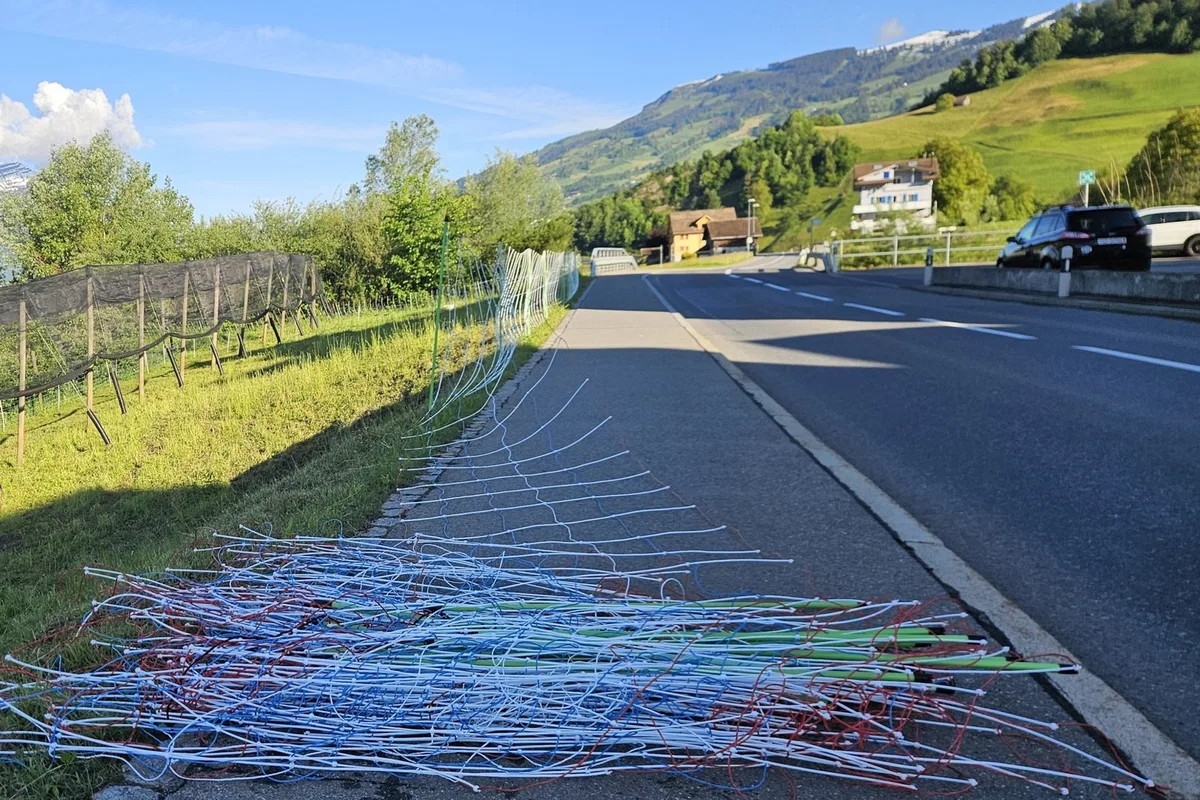 Bild_1_Das_Weiden_entlang_von_stark_befahrenen_Verkehrsrouten_ Zäune zerstört? Besser die Polizei mit einbeziehen