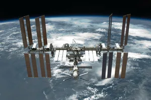 In der ISS gab es erstmals künstliches Fleisch. (Symbolbild Pixabay)
