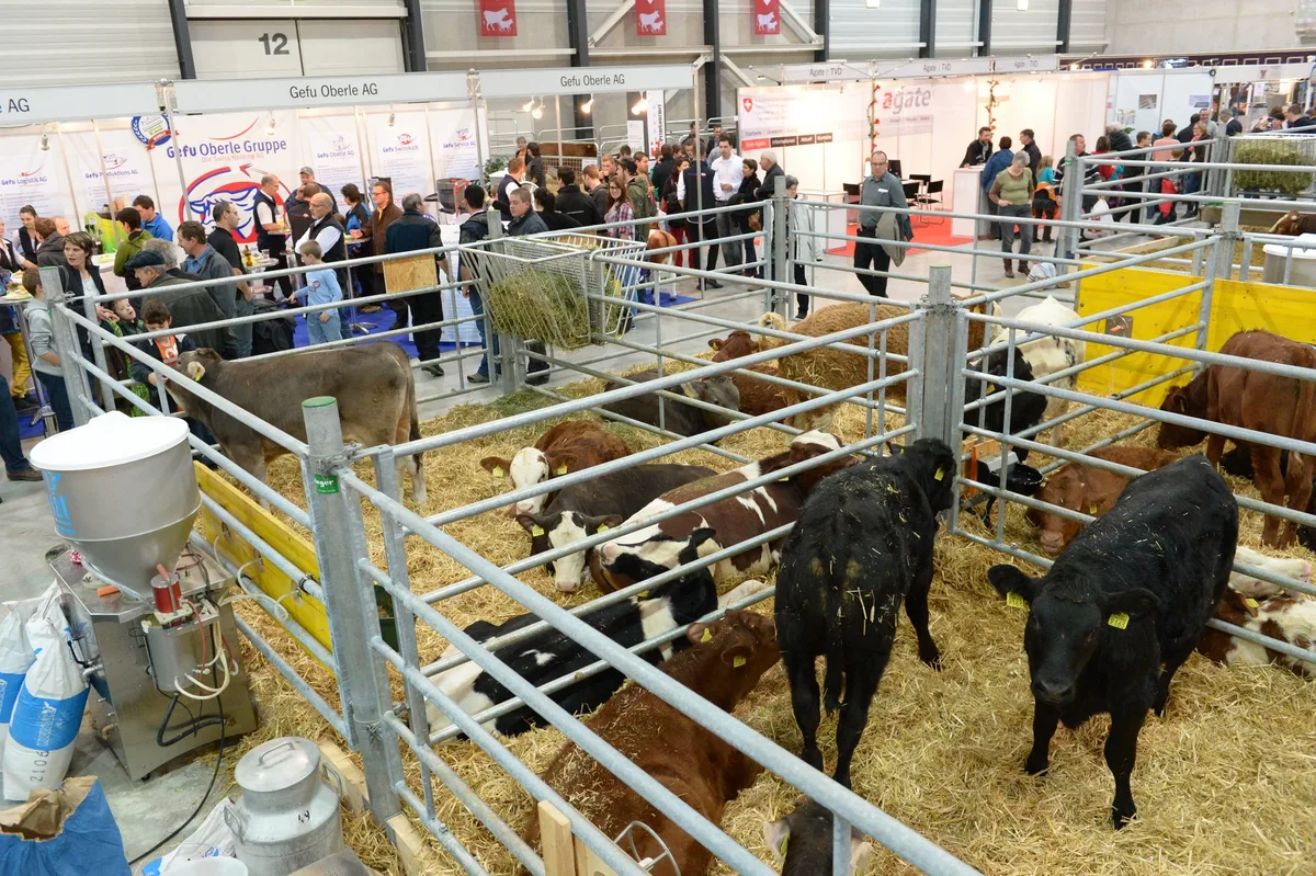 84e8afe73bf48f4d0b5fc6333079df67a80b6966 An der Suisse Tiere treffen sich die Nutztierhalter. (Bild Messe Luzern AG)