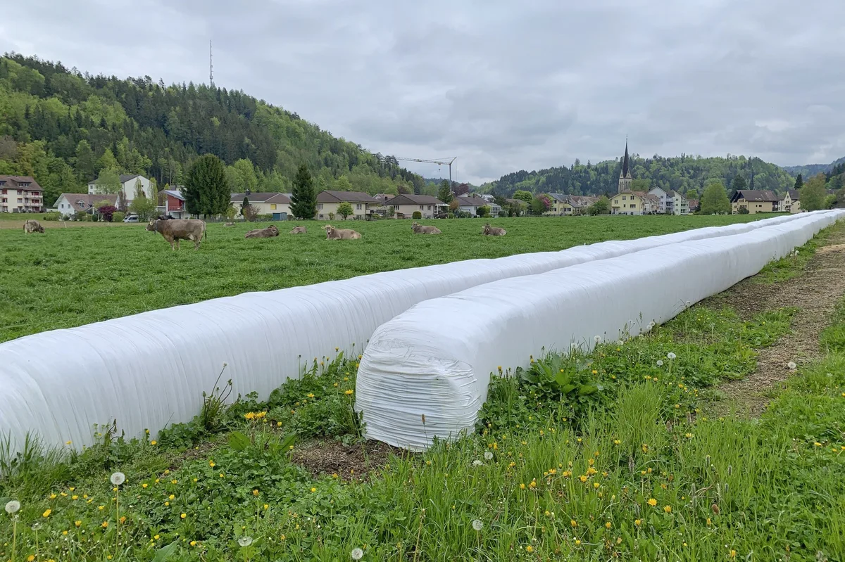 Folienrecycling: Jetzt soll der Durchbruch kommen