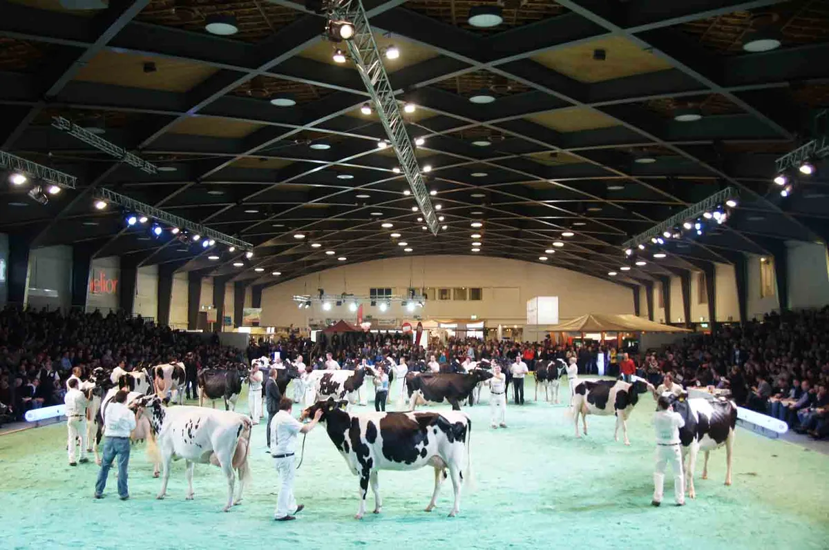 0e28ab5c8da64615df22120c41b0ac861c695c00 Die Veranstalter der Expo verteilen Gratis-Eintritte. (lid)
