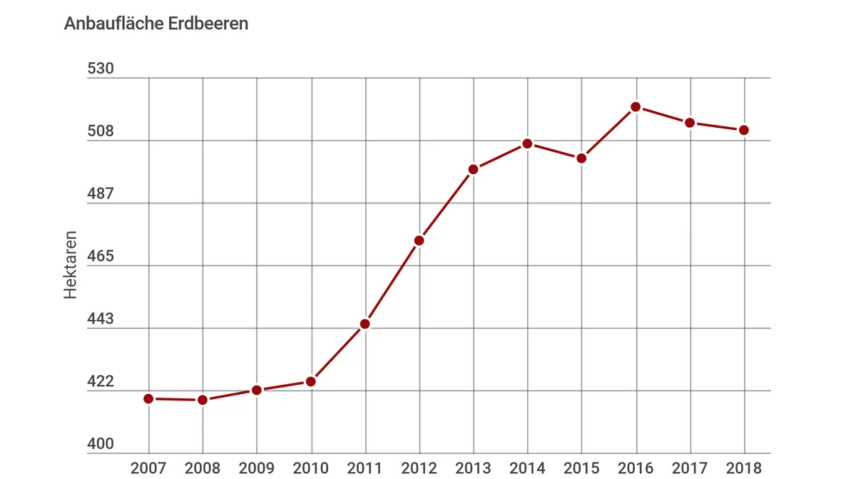 57cf78b112e3a5981d142a7db8f450ed842a9491 Stagnierendes Wachstum bei der Anbaufläche von Erdbeeren. (Grafik: LID)
