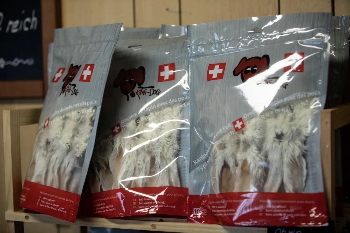 e76906690e1785f4f53cf8bf48c1ed927f353281 Behaarte Kaninchenohren wirken bei Hunden Magen- und Darm-reinigend und fördern die Verdauung. Bild: Pia Neuenschwander