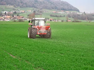 Die erste Gabe sollte bei beiden Strategien zu Vegetationsbeginn mit einem schnell verfügbaren Stickstoffdünger mit Schwefelzusatz erfolgen.