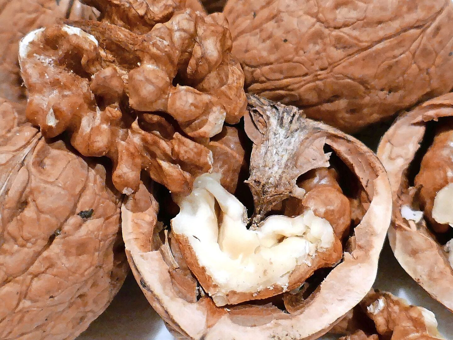 Baumnüsse, auch Walnüsse genannt, werden auch in der Schweiz angebaut. Die Erntezeit dauert ungefähr von September bis Oktober.
