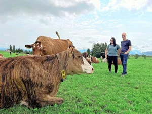 Bunte Herde mit Zweinutzungstypen: Daniela und Walti Haas auf der Weide in Hellbühl. Seit 2017 sind sie bio, zusätzlich wird heute antibiotikafrei produziert.