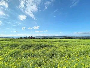 Zwischendurch hat sich das Maiwetter von seiner schönen Seite gezeigt. Viele hätten wohl gerne etwas mehr hiervon.