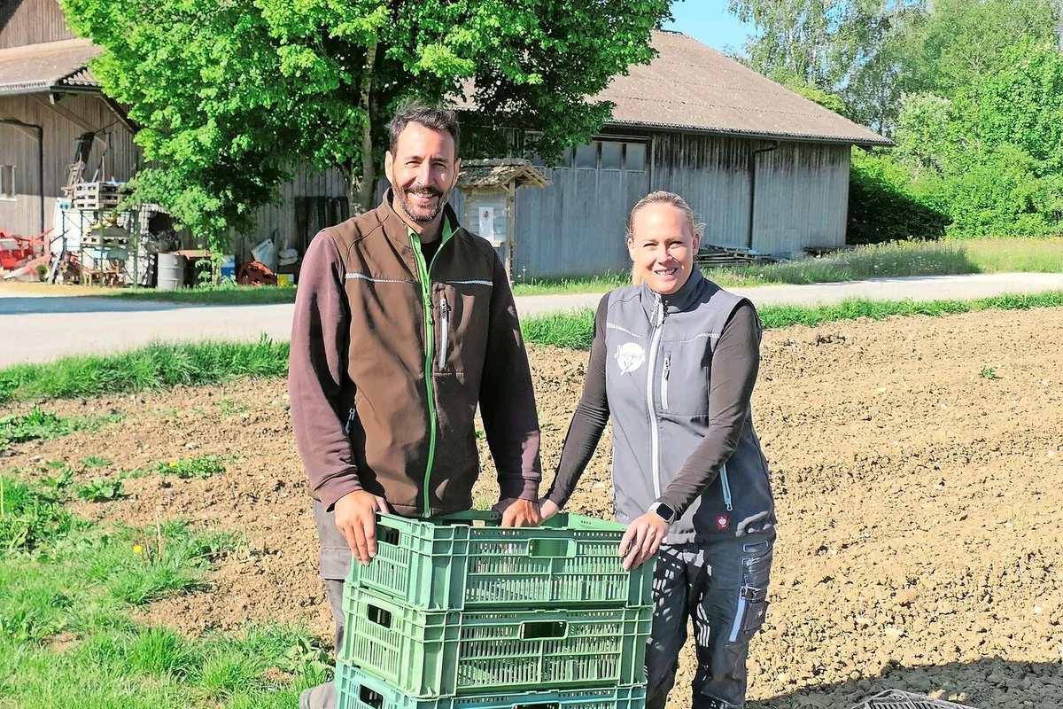 0ad49382236fb9a0b9a7fb4447f12be33579955946547bc8fb896eb64bf406e2 Noch bis Mitte Juni sind Nicole und Peter Bernhard täglich für die Spargelernte im Einsatz.
