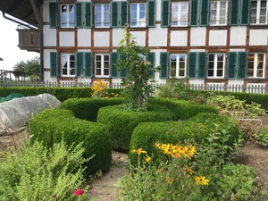 Vor dem Gemeindehaus in Lyssach BE gibt es einen Bauerngarten mit hohem Buchs.