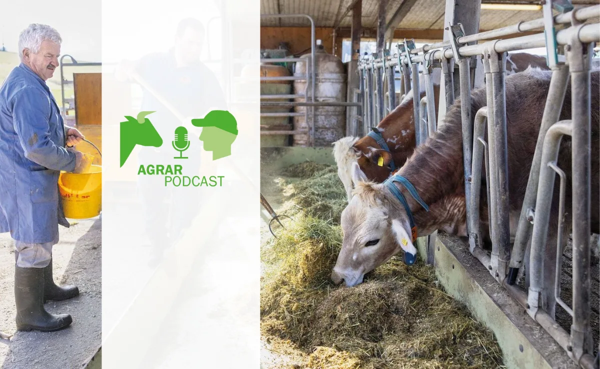Episode 19 – Über Mobbing von Bauernkindern und die Fütterung von Haus- und Hoftieren