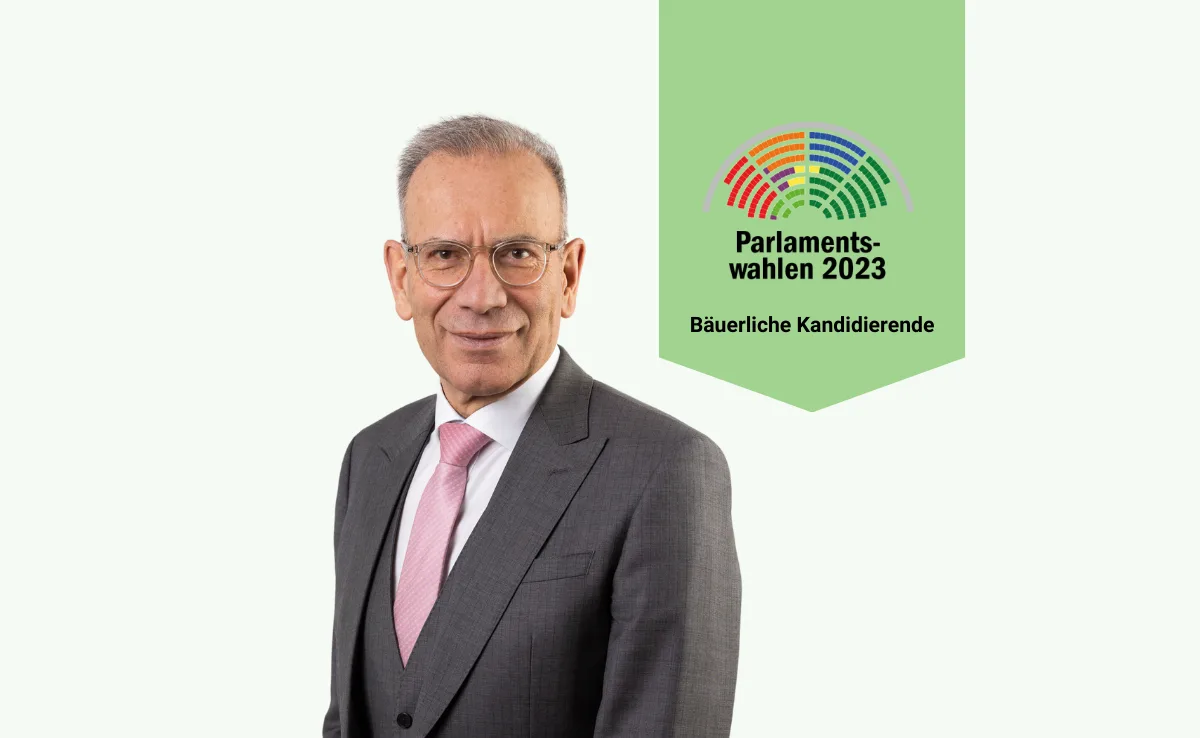 Hannes Germann