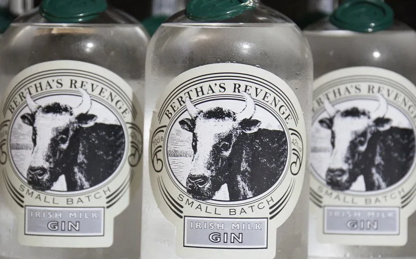 4fecca6f1766161c86965e59c4fb6288d7727fcd Wär hätte das gedacht? Ein Gin der als Nebenprodukt von Käse entsteht. (Bild Ballyvolane House Spirits)