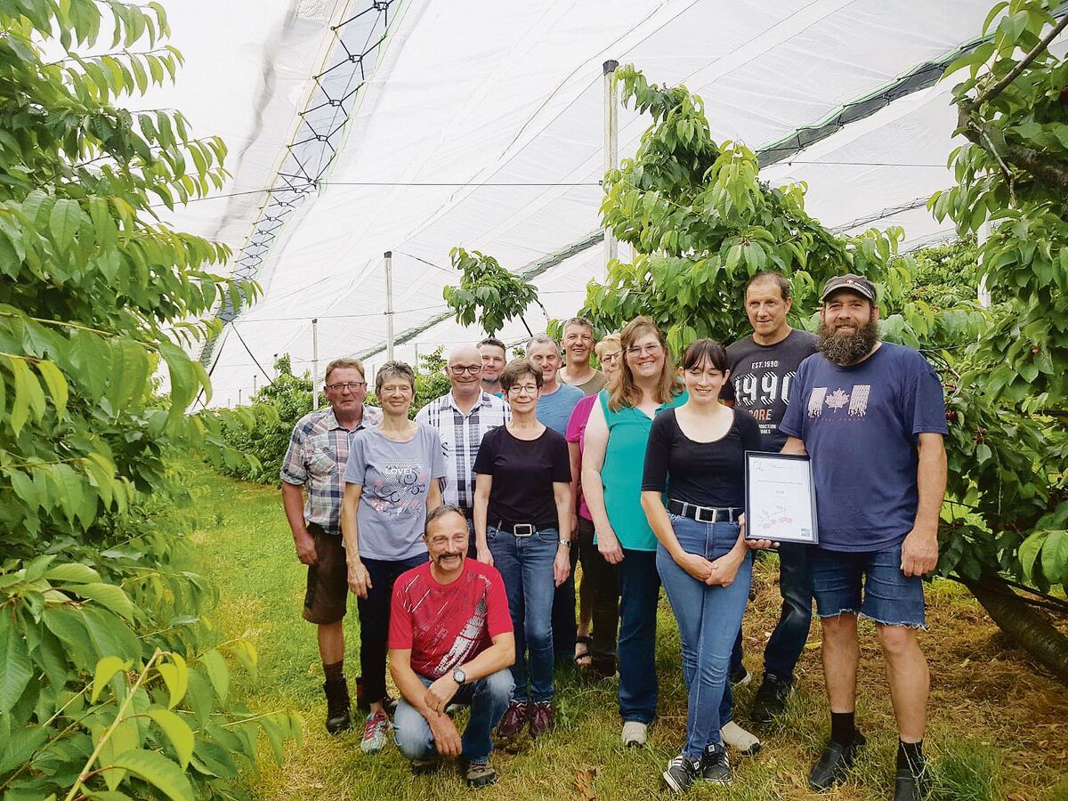Die Bauernfamilien mit den schönsten Aargauer Kirschenanlagen wurden am vergangenen Mittwochabend ausgezeichnet.