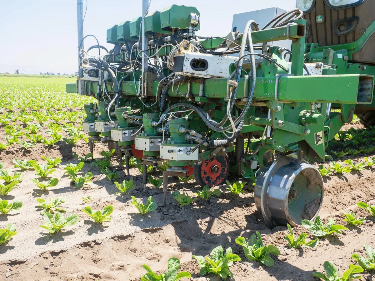 aad2b677763c02d90580629e2fdac39455ba7828 Die Betteravia Farms war die erste Firma in den USA, die sich einen Robocrop von Garford anschaffte. In der Schweiz sind bereits einige Robocrop von Garford im Einsatz. Bild: David Eppenberger