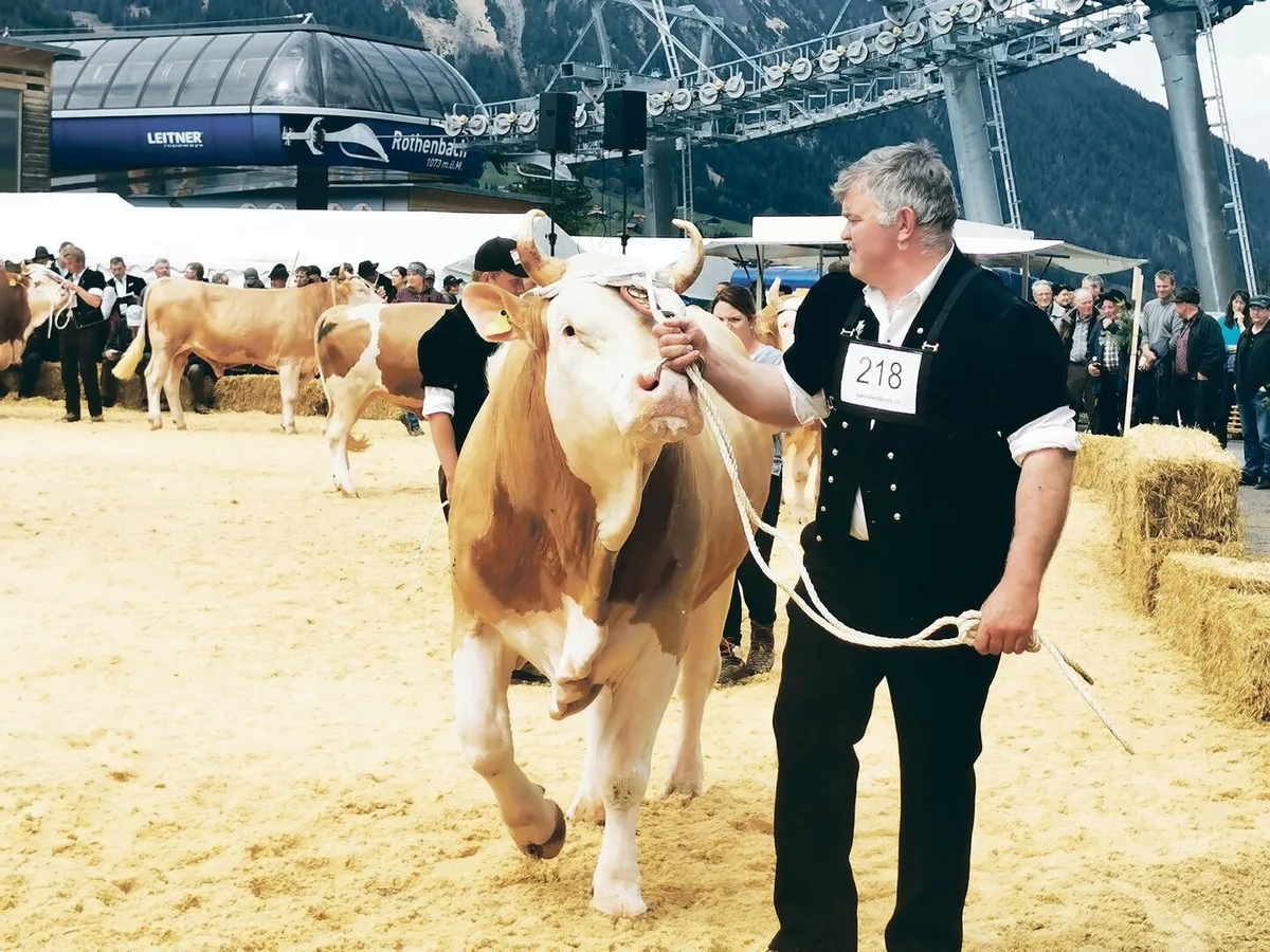 Mittags brachten die Züchter ihre Natursprungstiere in den Ring und zeigten eindrücklich, mit welcher Leidenschaft in der Region die Viehzucht gepflegt wird.