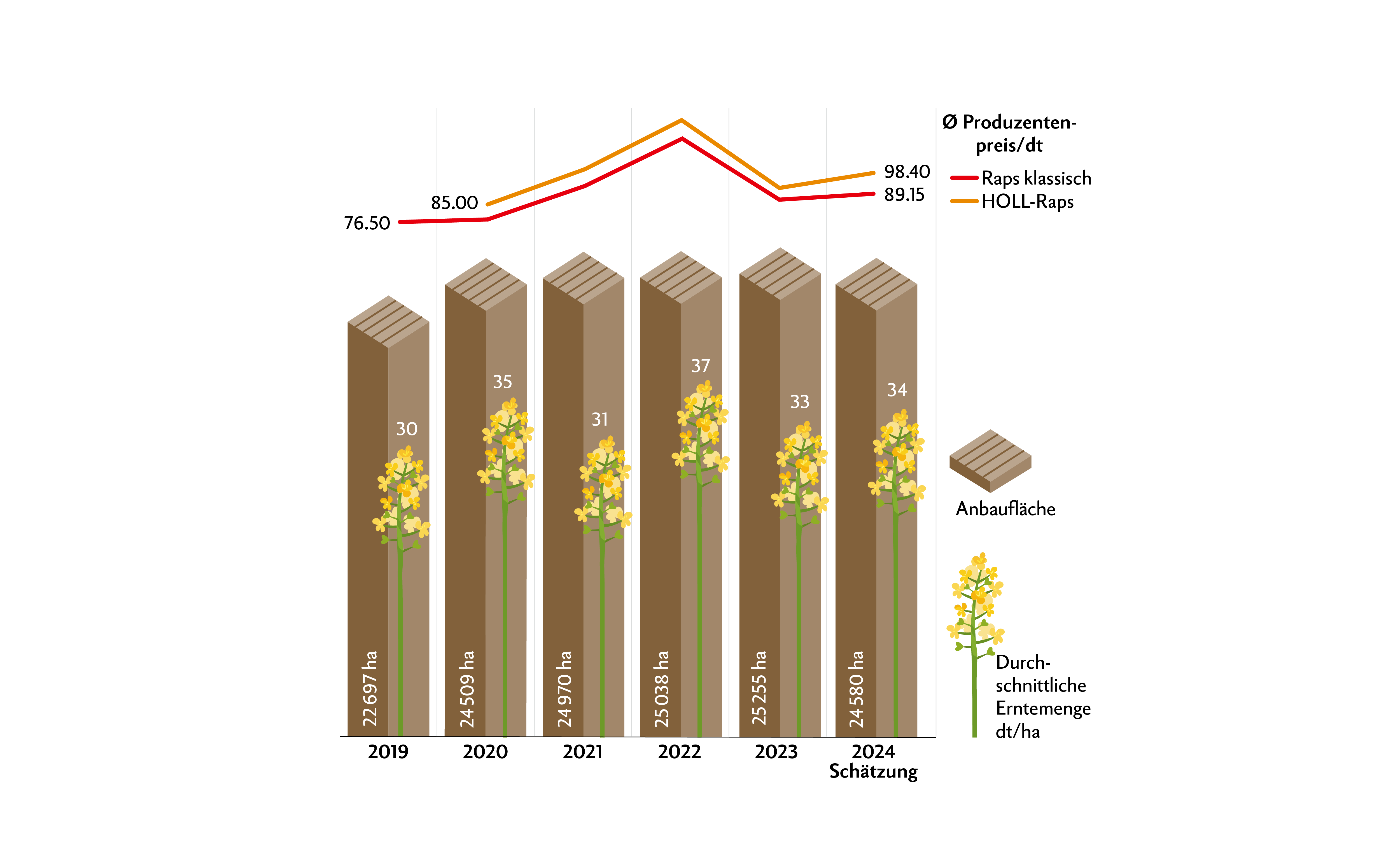 Nachdem die Rapspreise 2022 ein Hoch erlebten, sanken sie 2023 unter das Niveau des Jahres 2021. 2024 verzeichnet einen leichten Preisanstieg.